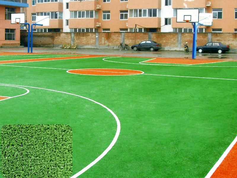 篮球场(加密草)