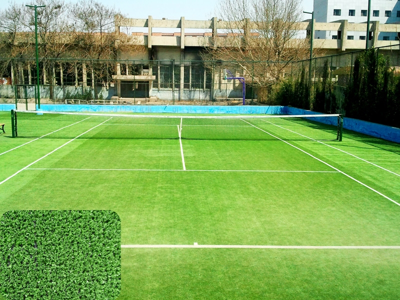 网球场(加密草)