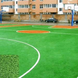 篮球场(加密草)